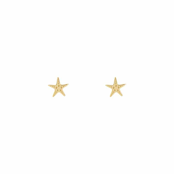Σκουλαρίκια αστερίας Κ9 χρυσά