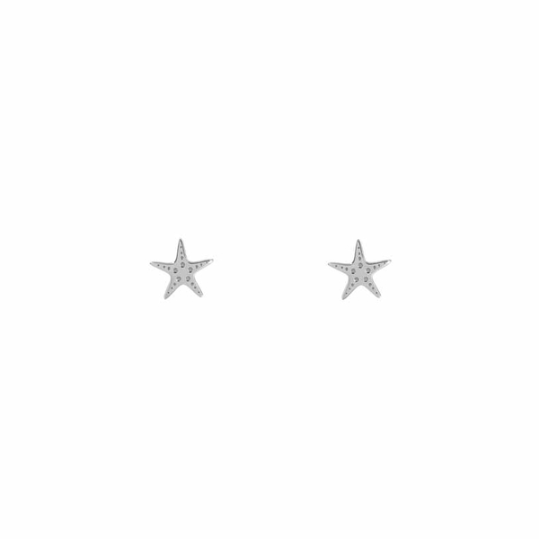 Σκουλαρίκια αστερίας Κ9 λευκόχρυσα