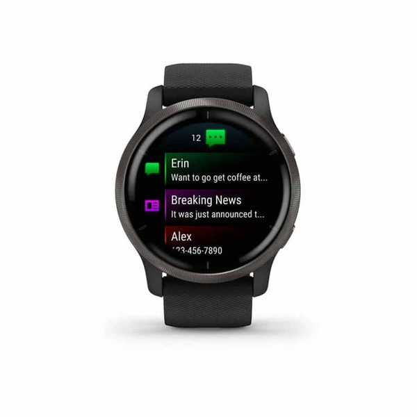 GARMIN Venu 2 Slate & Black