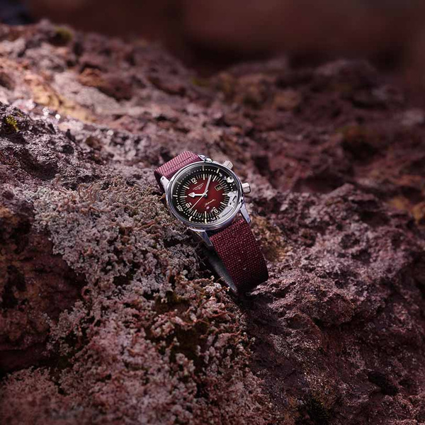 The Longines Legend Diver Watch Automatic Bordeaux