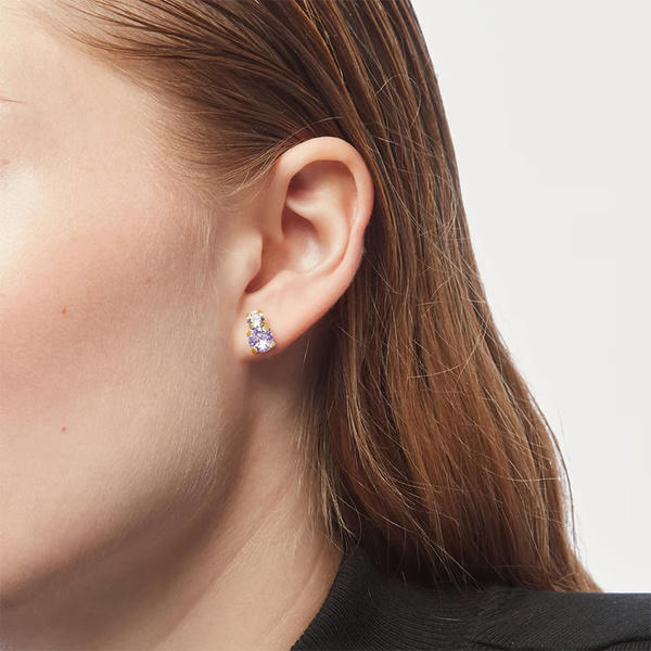 Σκουλαρίκια από ασήμι 925 με πέτρες Swarovski