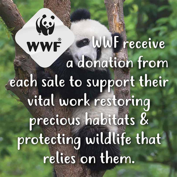 Tikkers WWF Panda Watch And Bracelet Set