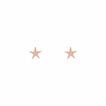 Σκουλαρίκια αστερίας Κ9 ροζ χρυσά