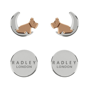 Σκουλαρίκια Radley από ατσάλι