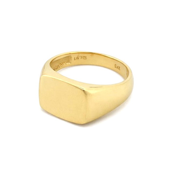 Δαχτυλίδι σεβαλιέ Κ9 χρυσό